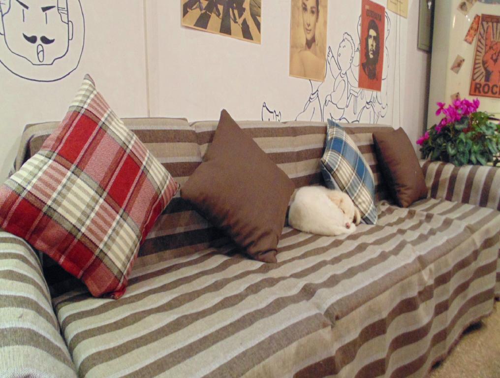 Hua Qiu Ku Youth Hostel East Street Branch Xi'an (Shaanxi) Room photo